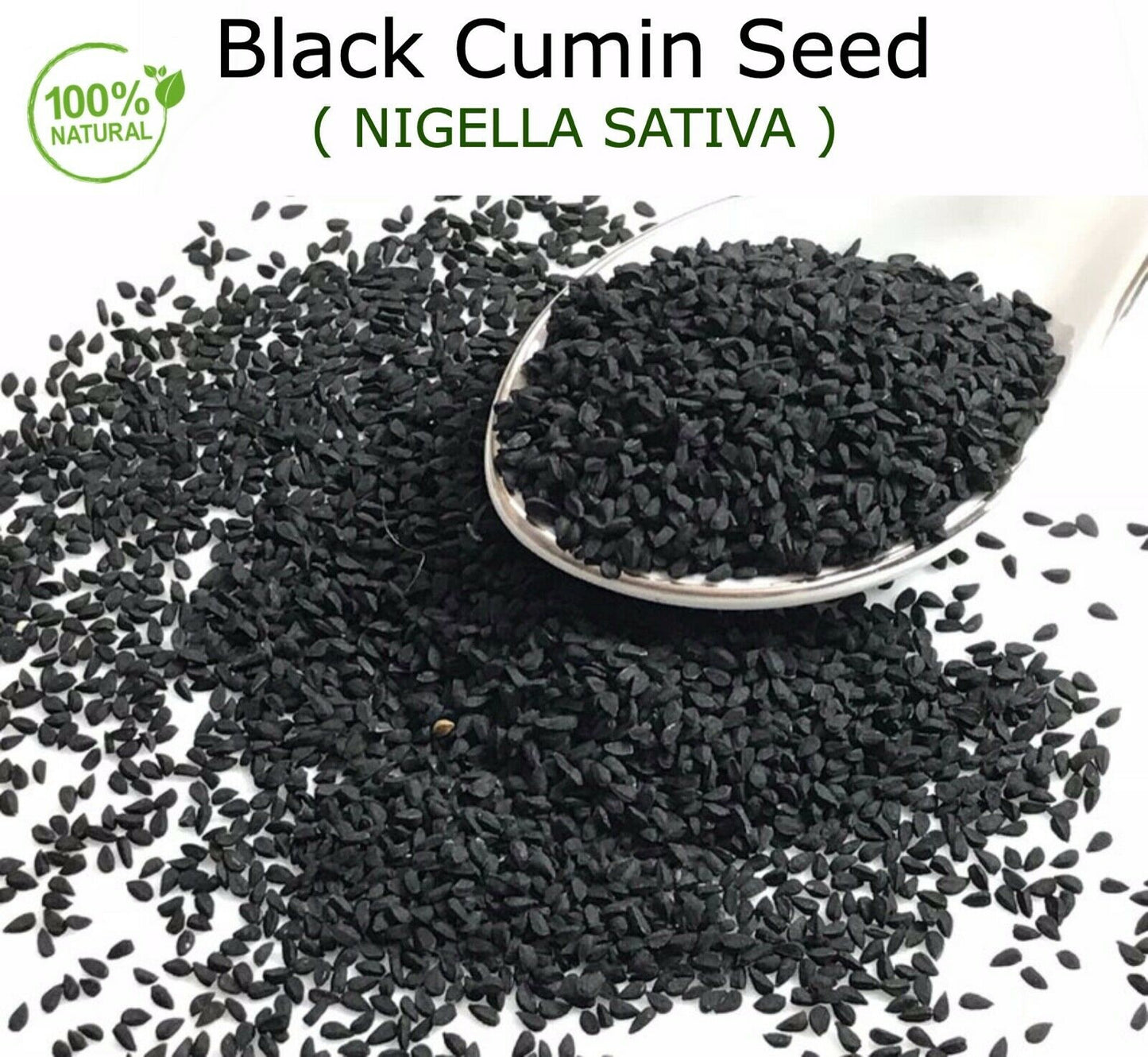 Black Seeds Qassim | Black Cumin Seed | 100% Natural & Pure | Saudi Arabia BLACK SEED | 0.5 lb | Bulk Nigella Sativa) | ORGANIC Bulk Black Seeds (Black Caraway) | الحبة السوداء القصيمي | القصيم السعودية